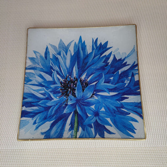 Flor crisantemo azul
